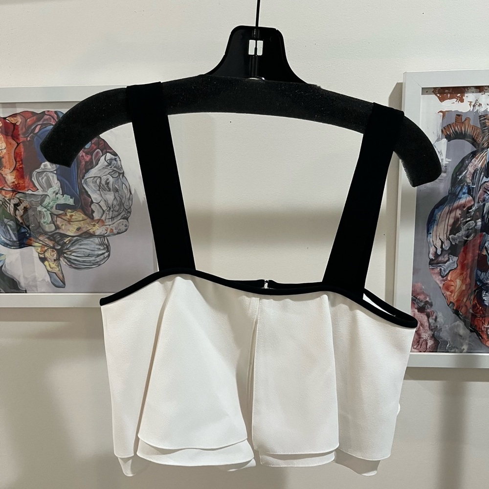 Zara Black and White Crop Top